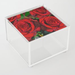 Dark reds ... Acrylic Box