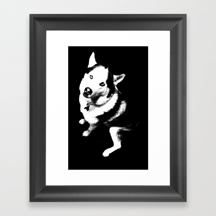 Husky Husky Framed Art Print