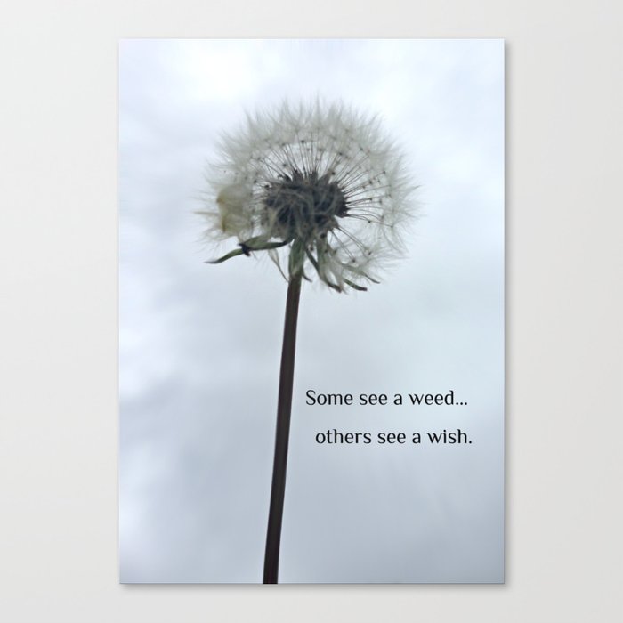 Some See A Wish Dandelion Canvas Print