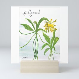 Gillyweed Botanical Art Mini Art Print