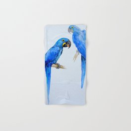 Hyacinth macaws, beautiful blue parrots Hand & Bath Towel