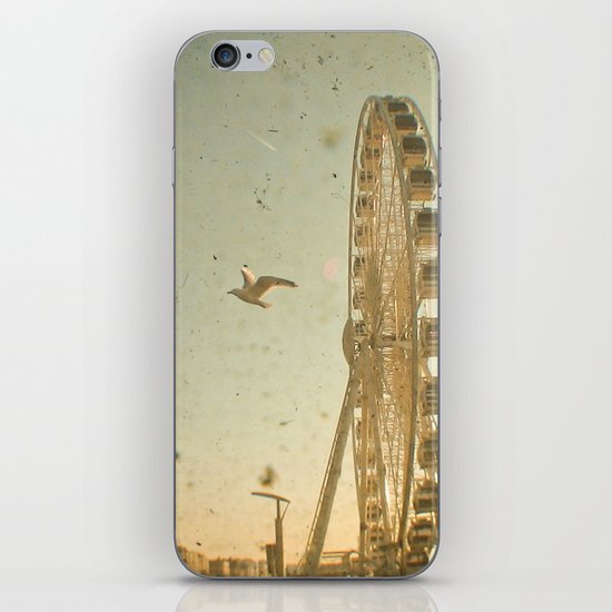 Bird's Eye View iPhone & iPod Skin