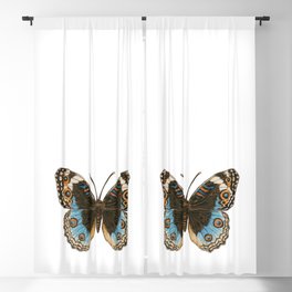 Blue Pansy Butterfly Blackout Curtain