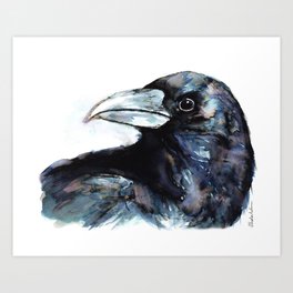Raven, Watercolor Art Print