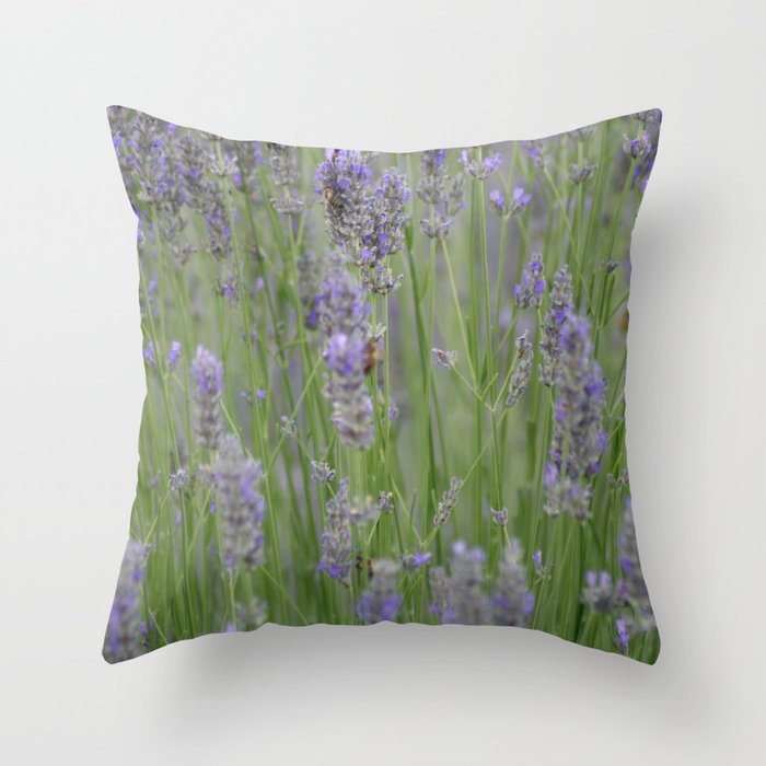 A Blur Of Beautiful Lavender Flowers Photograph Throw Pillow