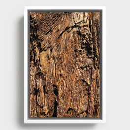 Sequoia Framed Canvas