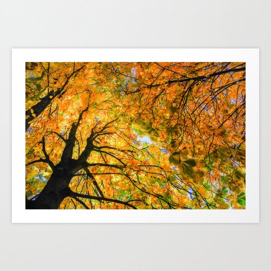autumn sky Art Print