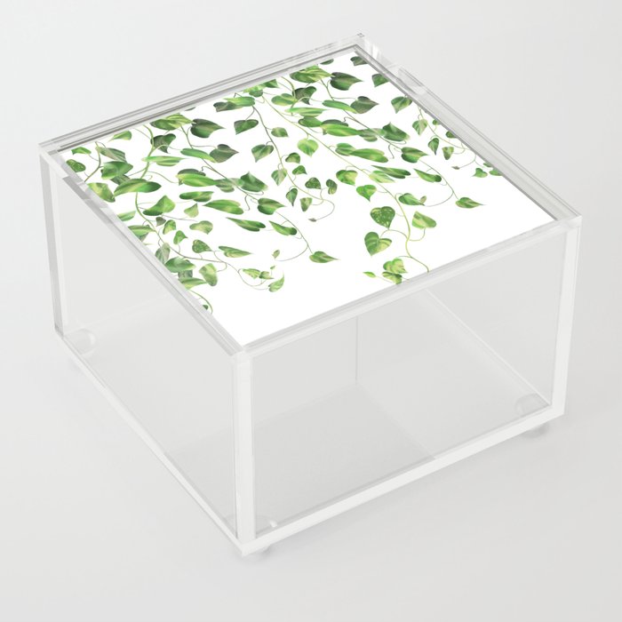 Ivy Garland 2  Acrylic Box