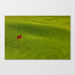 Hole in One Canvas Print