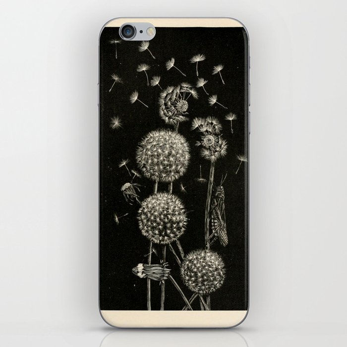 Dandelion with locust by Anna Botsford Comstock, early 1900s (benefitting The Nature Conservancy) iPhone Skin