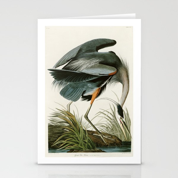 Great blue Heron - John James Audubon's Birds of America Print Stationery Cards