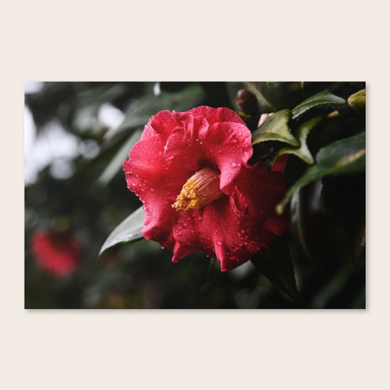 Intangible Canvas Print