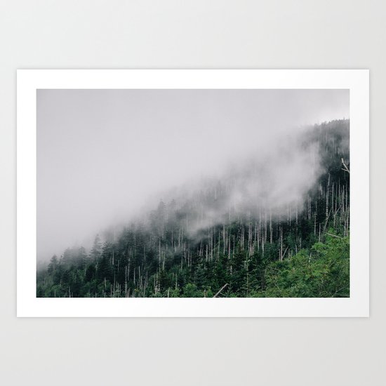 Misty Great Smoky National Park Art Print