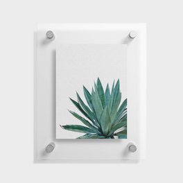 Agave Cactus Floating Acrylic Print