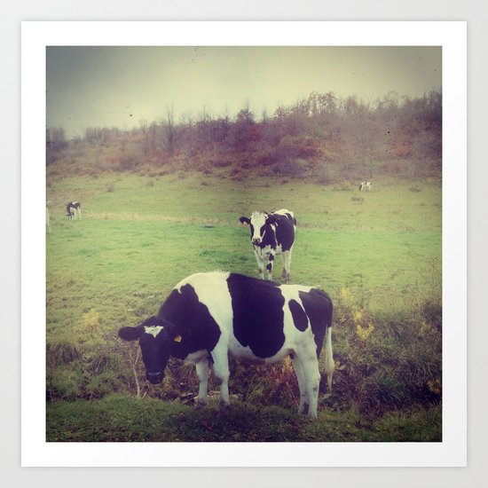 Rustic Cows Art Print