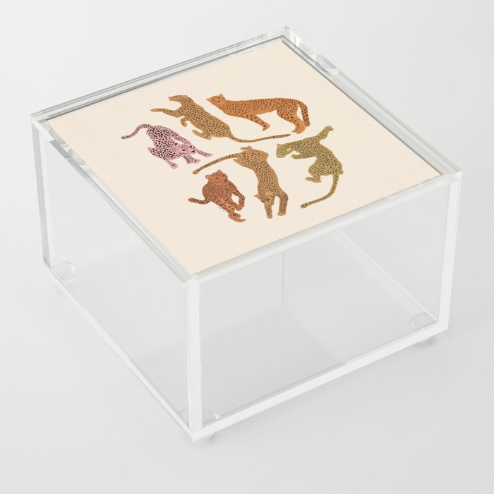 Adria Cheetahs Acrylic Box