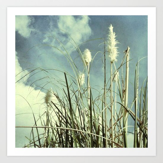Softly Art Print