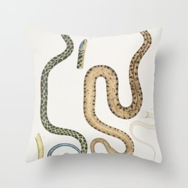 Bengal & Lozenge Snakes Throw Pillow
