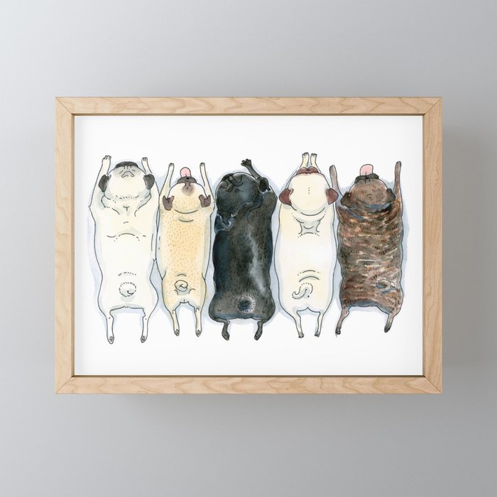 The Pug Spectrum - Pug butts in a row Framed Mini Art Print