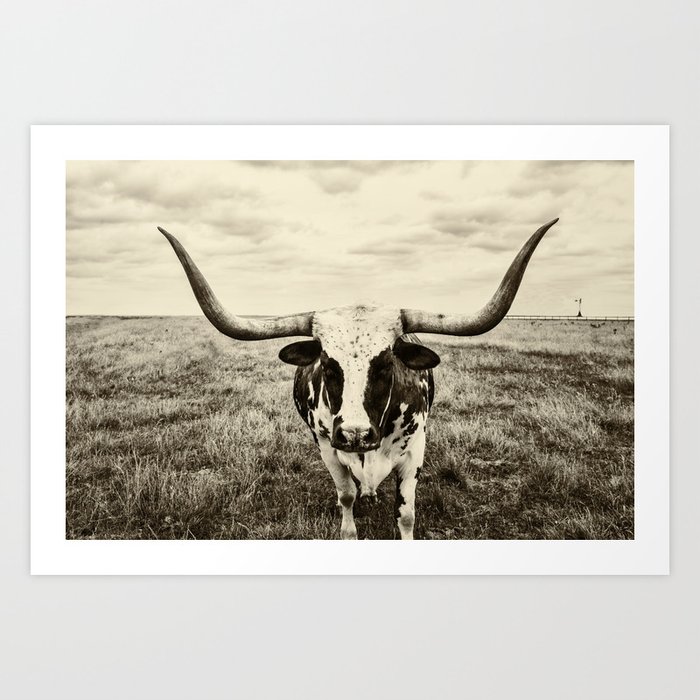 Lone Longhorn Art Print