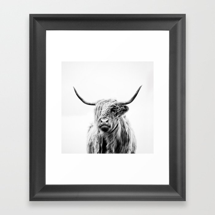 Portrait Of A Highland Cow Framed Art Print By Doritfuhg