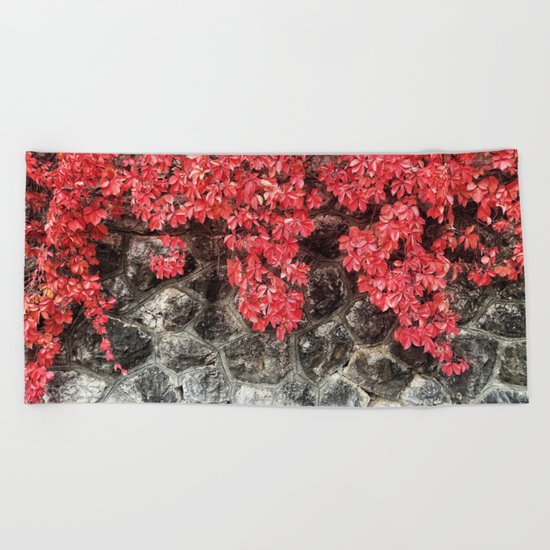Red ivy leaves autumn stone wall Beach Towel