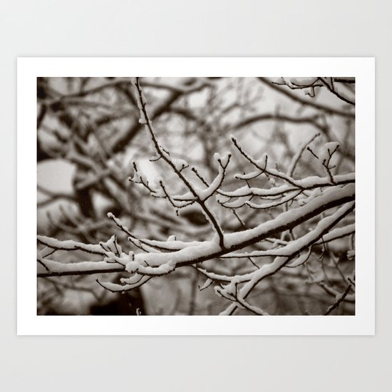 Wintry Spring Art Print