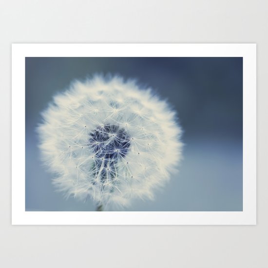 dandelion blues Art Print