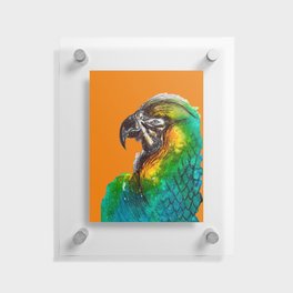 watercolour parrot with orange background  Floating Acrylic Print