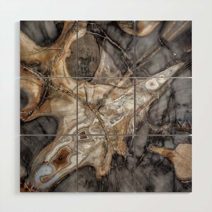 Petrified wood 3264 Wood Wall Art