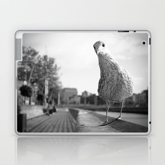 Inquisitive seagull Laptop & iPad Skin