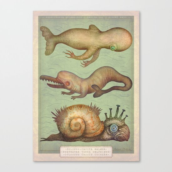 Peculiar Marine Species Canvas Print