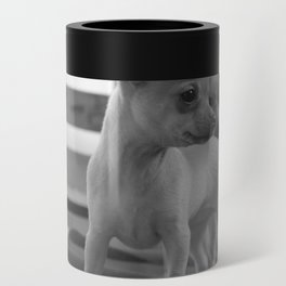 Chihuahua Can Cooler