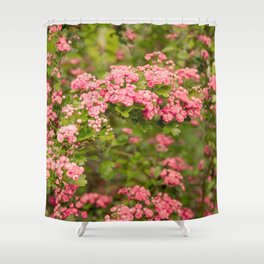 Morning Light Shower Curtain