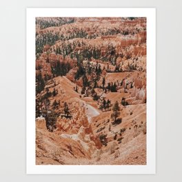 Utah / Bryce Canyon Art Print