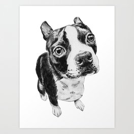 Ollie the Boston Terrier Art Print