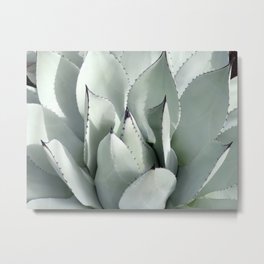 Ornamental Agave Metal Print | Digital, Grayishgreen, Cincinnati, Plant, Photo, Ohio, Teeth, Spines, Leaves, Mescal 