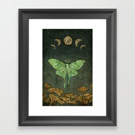 Luna Moth Framed Art Print
