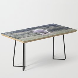 White cow pasture Coffee Table