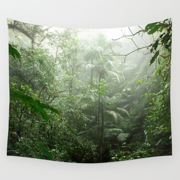 Into the Cloud Forest Wall Tapestry