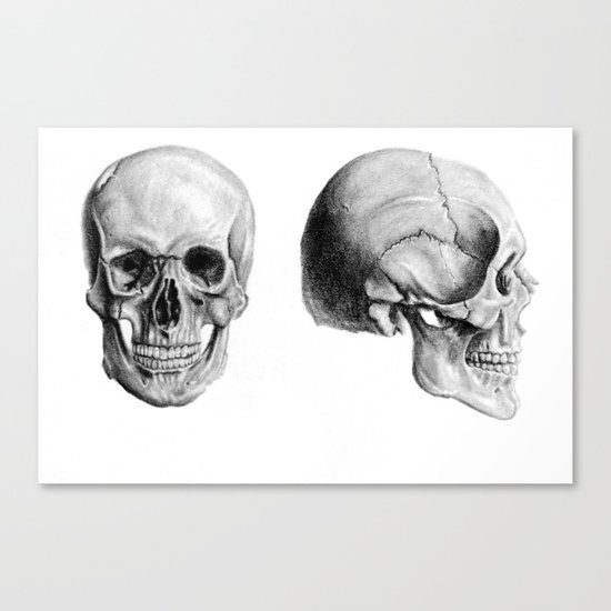 Graphite Skulls Canvas Print