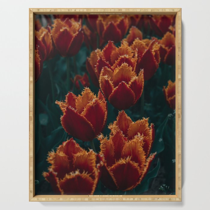 Fuzzy Tulips Serving Tray