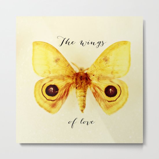 the wings of love Metal Print