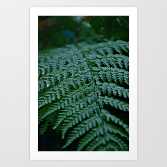 Fern Art Print