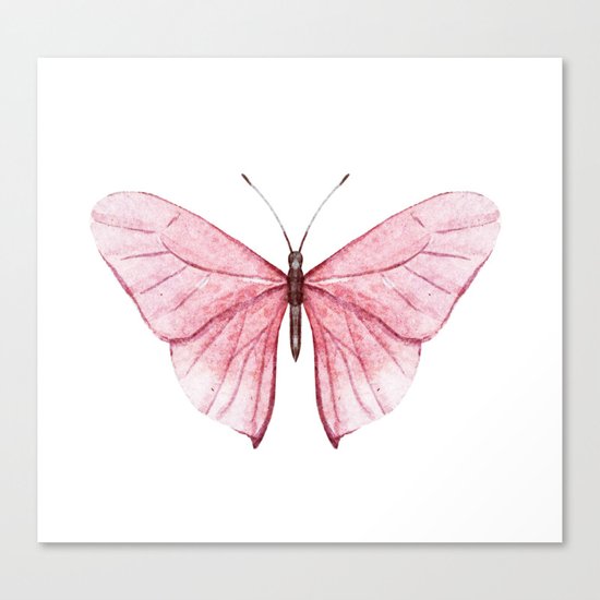 Butterfly 03 Canvas Print