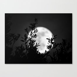 Full Moon Leaves Canvas Print