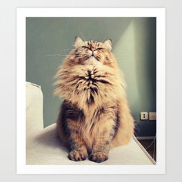 On top of the world | Queen cat Art Print | Ruler, Ontopoftheworld, Catlovers, Ontop, Rulehappy, Digital, Cat, Queen, Pets, Catrulz 