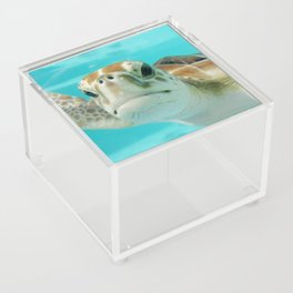 Mexico Photography - Sea Turtle In The Beautiful Water Acrylic Box