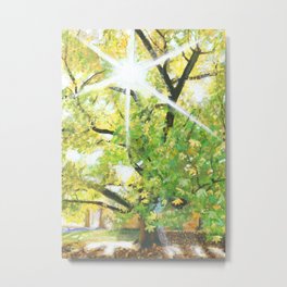 Sunlit Tree Metal Print