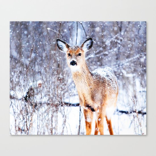 Missing Female Canvas Print